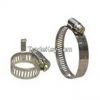 American hose clamp  10-16