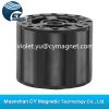 hard ferrite segment m...