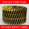 Coated Screw/Smooth Sh...