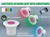 Bluetooth Music Downlight