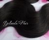 Brazilian Virgin Hair ...