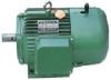 Three Phase Electric Motor