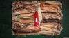 Illex Squid