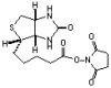 (+)-Biotin-NHS