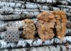 Kiln dry Firewood in b...