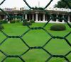 Hexagonal wire mesh
