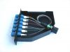 Fiber optic jumper, pa...
