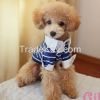 2014 pet breathable cotton T-shirt for teddy and poodle