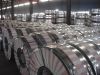 GI/Galvanized Steel Coils 