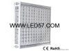 IP67 COB-FLN1000watt L...