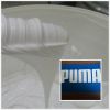 White Pigment Silicone...