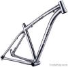 Titanium Mountain Bike...