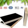 GIGA phenolic poplar waterproof 4x10 plywood sheets