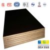 GIGA phenolic poplar waterproof 4x10 plywood sheets