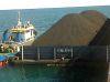 Batu Bara Coal GCV 630...