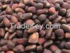Bulk 100% Cold Pressed...