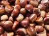 Chinese Chestnut, New Crop Fresh Chestnut