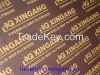 XINGANG Plywood