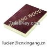 XINGANG Plywood