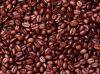 ARABICA COFFEE BEANS, ROBUSTA COFFEE BEANS, BLACK PEPPER FOR SALE