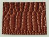 Hot Design Crocodile S...