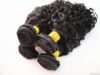 Remy Jerry Curl Hair E...