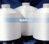 100% Nylon 6 Filament ...