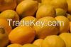 YELLOW ADALIA LEMONS/F...