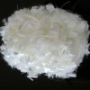 Acrylic staple fiber 