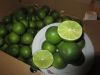  Seedless Lime