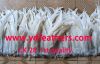 Bleached Black Rooster/Coque/Cock Tail Feather for Wholesale