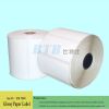 Manufacturer of Glossy Coated Paper Roll Label