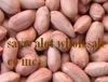 High Quality peanut, c...