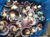 SCALLOPS (ARGOPECTEN P...