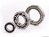 Deep groove ball bearing 6202-2Z