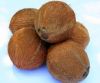 Bamboo, Palm-Kernel, Y...