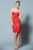 Scarlet Guipure Lace O...