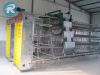 A frame layer cage, la...