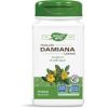 Damiana leaves