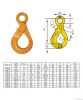 G80 EYE SELF-LOCKING HOOK