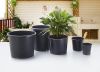 cheap black gallon pot...