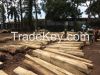 Teak Timber