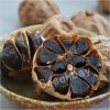 Black Garlic natural 90 days fermentation for sale