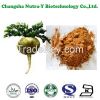 Maca Extract, maca extract powder , maca powder, maca extract 5:1/10:1