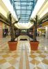 Marble Slabs - Tiles - Ambar Royal