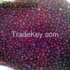 Supply frozen fruit frozen blueberry IQF blueberry