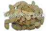 Wild Astragalus mongho...