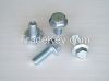Hexagonal Flange Bolt