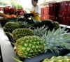 Fresh Pineapple - Prem...