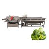 High Pressure Vortex Automatic Vegetable Washing Machine